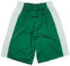 Zipway NBA Basketball Youth Boston Celtics Shorts, Green