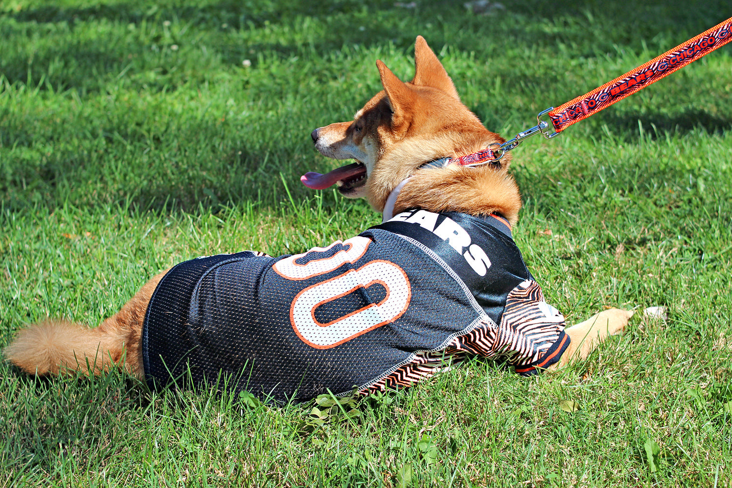 Chicago Bears Pet Camo Jersey - Mesh Camo