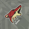 Reebok NHL Kids Arizona Coyotes Playdry Short Sleeve Frost Logo Fashion Tee, Grey