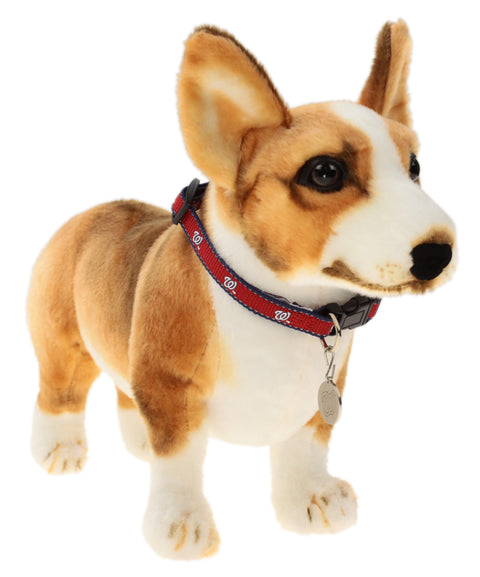 Sporty K9 MLB Washington Capitals Reflective Dog Collar