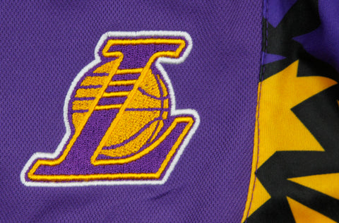 Zipway NBA Basketball Men's Los Angeles Lakers Pride Shorts - Purple