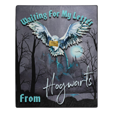Northwest Harry Potter Letter Silk Touch Sherpa Throw Blanket 50 X 60