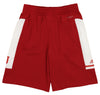 Adidas NCAA Youth Boys (8-20) Indiana Hoosiers Training Shorts, Red