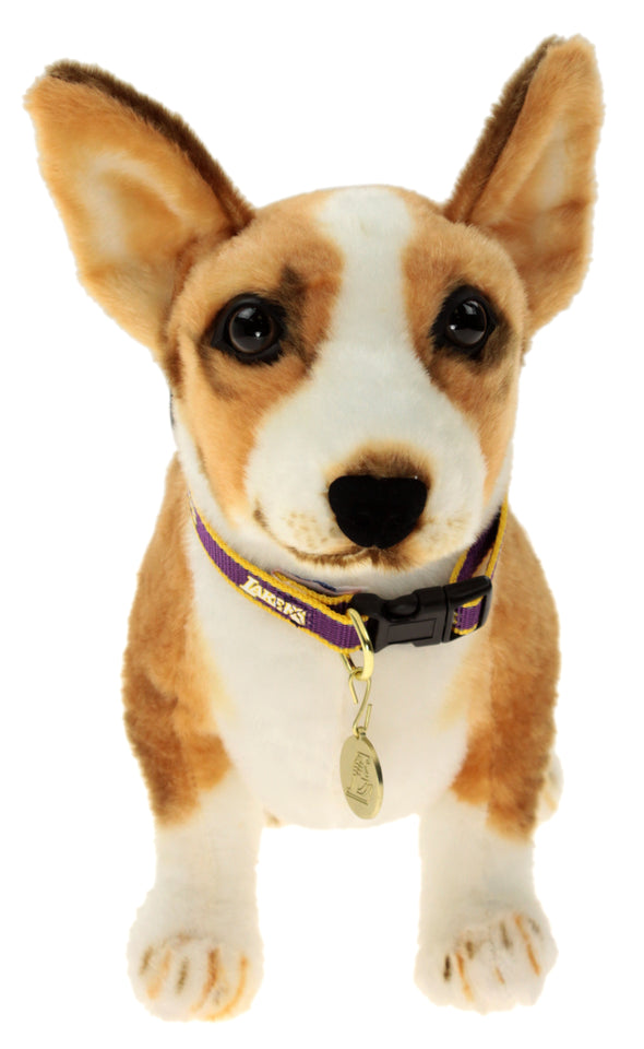 Sporty K9 NBA Los Angeles Lakers Reflective Dog Collar