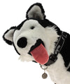 Sporty K9 NBA San Antonio Spurs Reflective Dog Collar