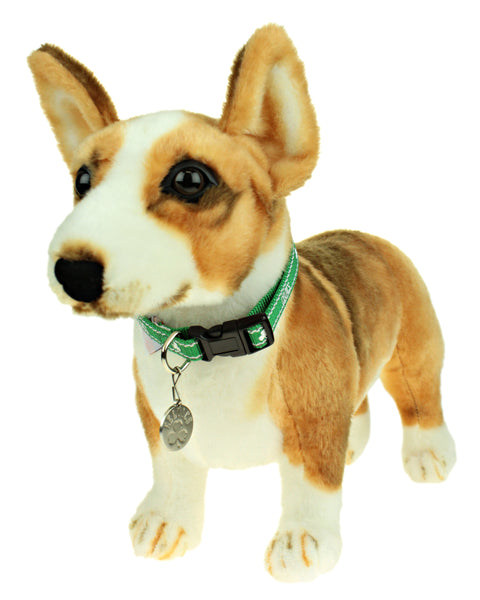 Sporty K9 NBA Boston Celtics Reflective Dog Collar