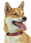 Zubaz X Pets First NFL Denver Broncos Team Adjustable Dog Collar