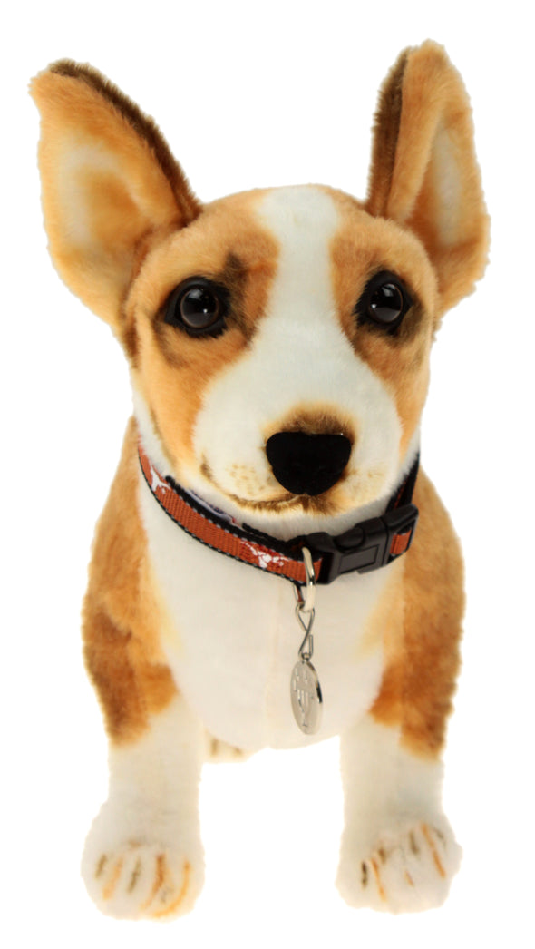 Sporty K9 NCAA Texas Longhorns Reflective Dog Collar