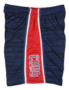 Zubaz MLB Baseball Men's Chicago Cubs Space Dye Solid Stripe Shorts