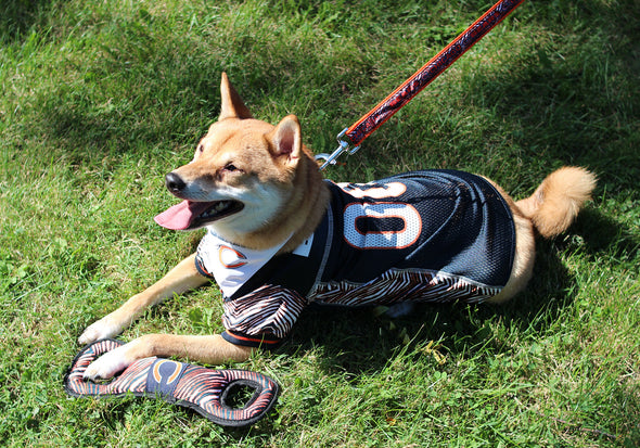 Zubaz X Pets First NFL Los Angeles Chargers Team Logo Dog Tug Toy with Squeaker
