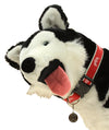 Sporty K9 NCAA Ohio State Buckeyes Ribbon Dog Collar
