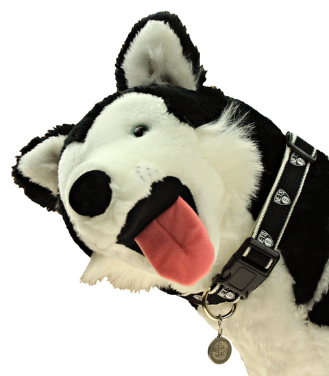 Sporty K9 NBA Brooklyn Nets Reflective Dog Collar