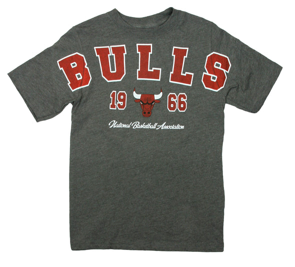 NBA Basketball Youth Boys / Little Boys Kids Chicago Bulls Play Dri Tee T-Shirt, Grey