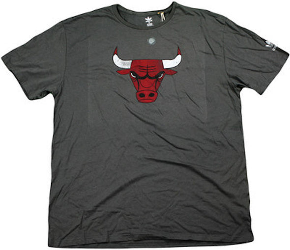 Adidas Chicago Bulls Men's NBA Vintage Tee Shirt with Bull Logo, Grey