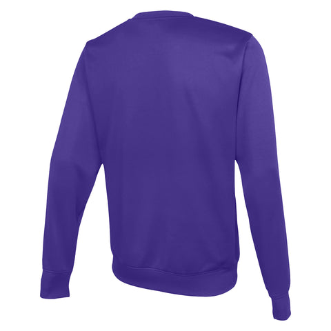 Outerstuff NFL Men's Minnesota Vikings Pro Style Performance Fleece Sweater