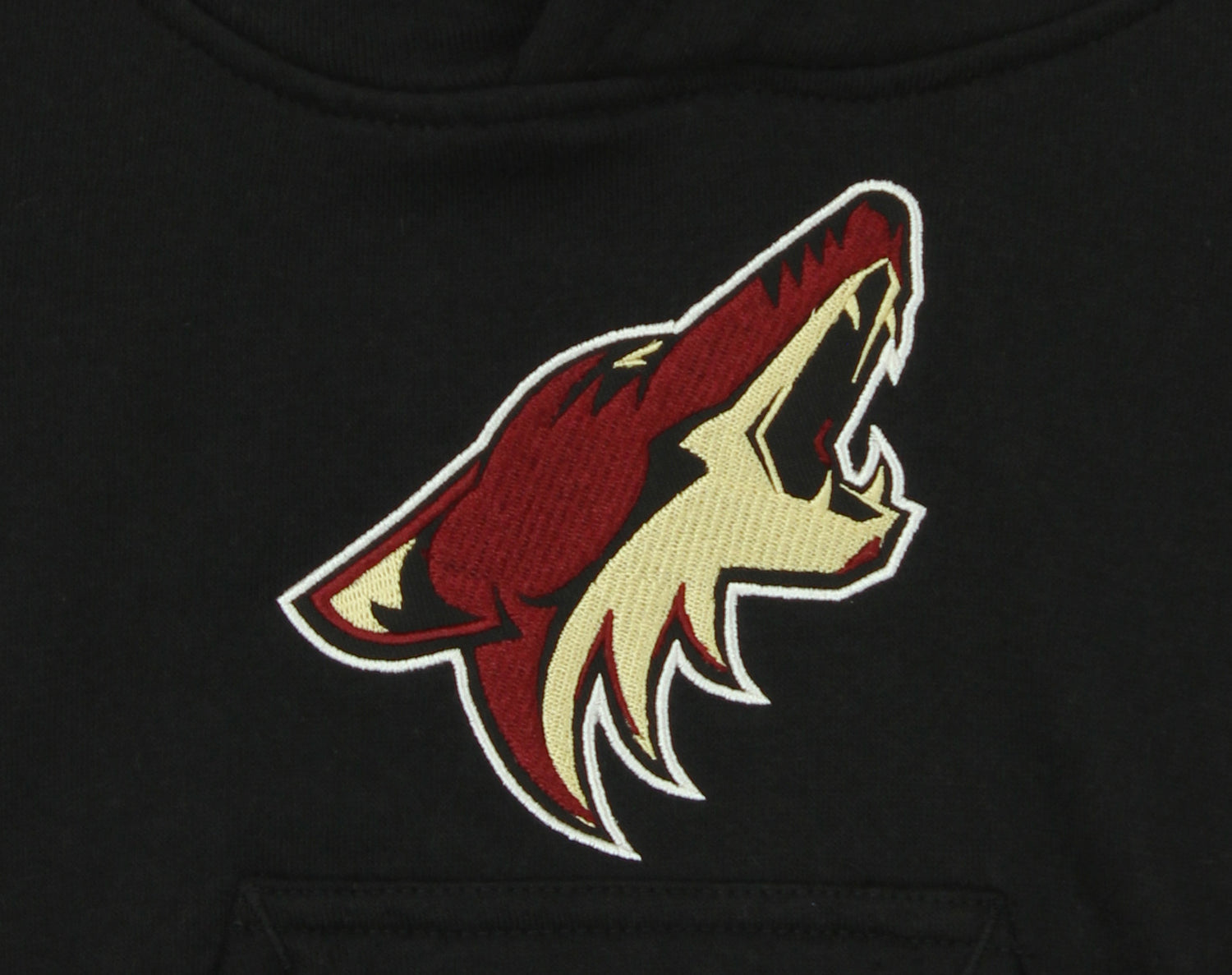 Outerstuff Youth Black Arizona Coyotes Primary Logo Pullover Hoodie Size: Medium