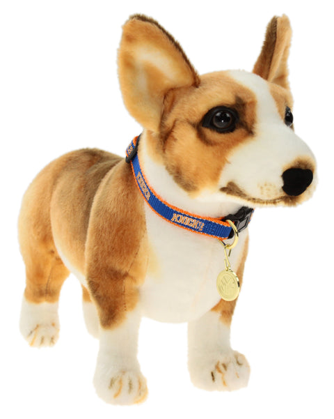 Sporty K9 NBA New York Knicks Reflective Dog Collar