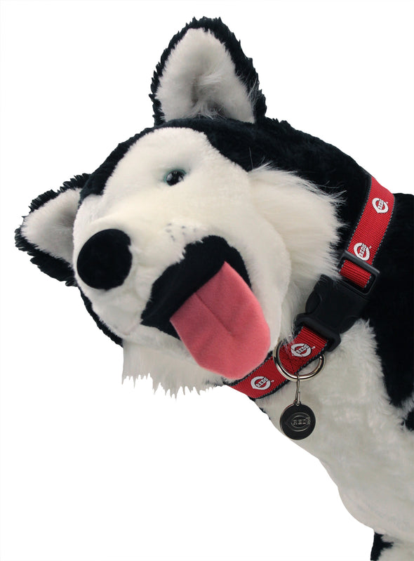 Sporty K-9 MLB Cinncinatti Reds Dog Collar, Med/Large